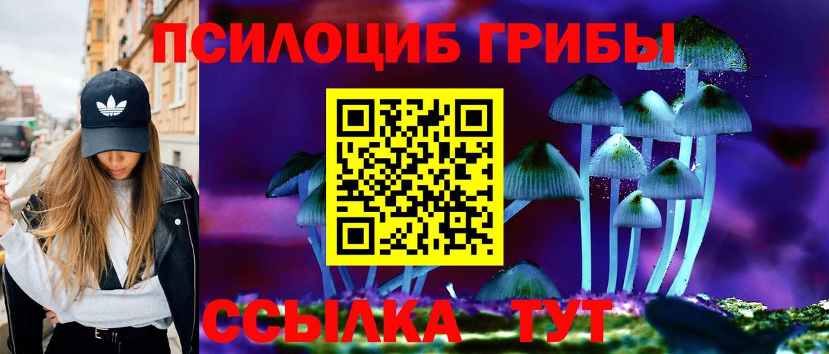 Псилоцибиновые грибы Magic Shrooms  Вход с VPN  Волгоград 